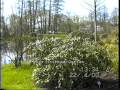 Landesgartenschau